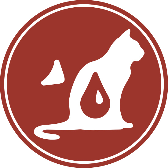 Вологий корм Royal Canin Instinctive in Jelly для котів