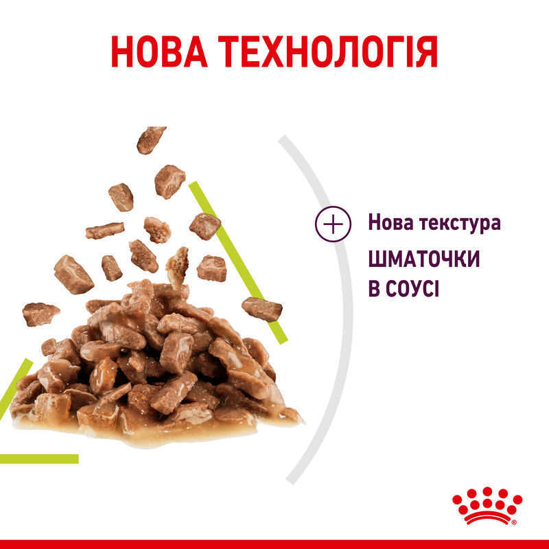 Вологий корм Royal Canin Sensory Smell in Gravy для дорослих котів – стимуляція нюху та підвищення апетиту (шматочки в соусі) 85 г