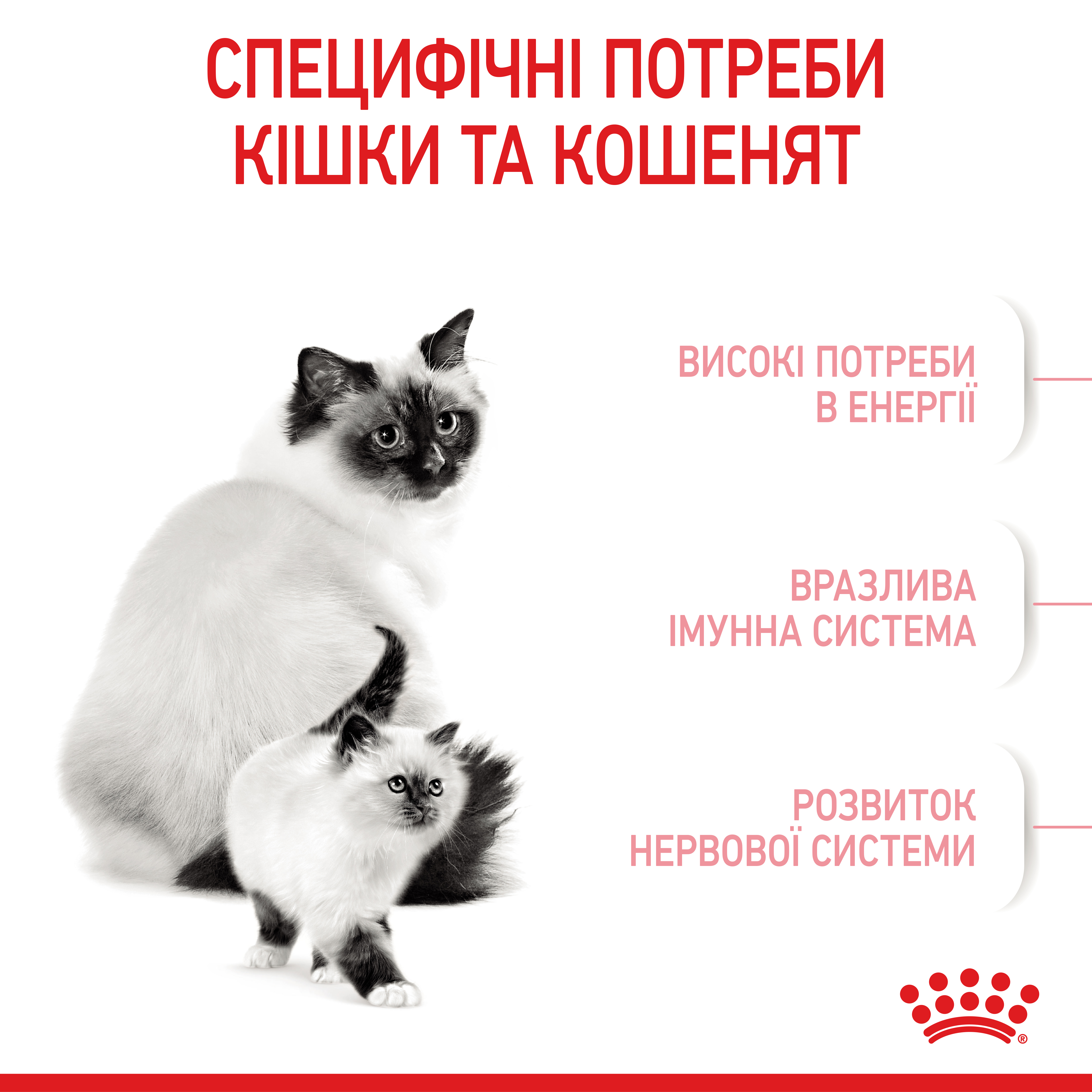 Сухий корм Royal Canin Mother and Babycat для кошенят та годуючої або вагітної кішки 4кг