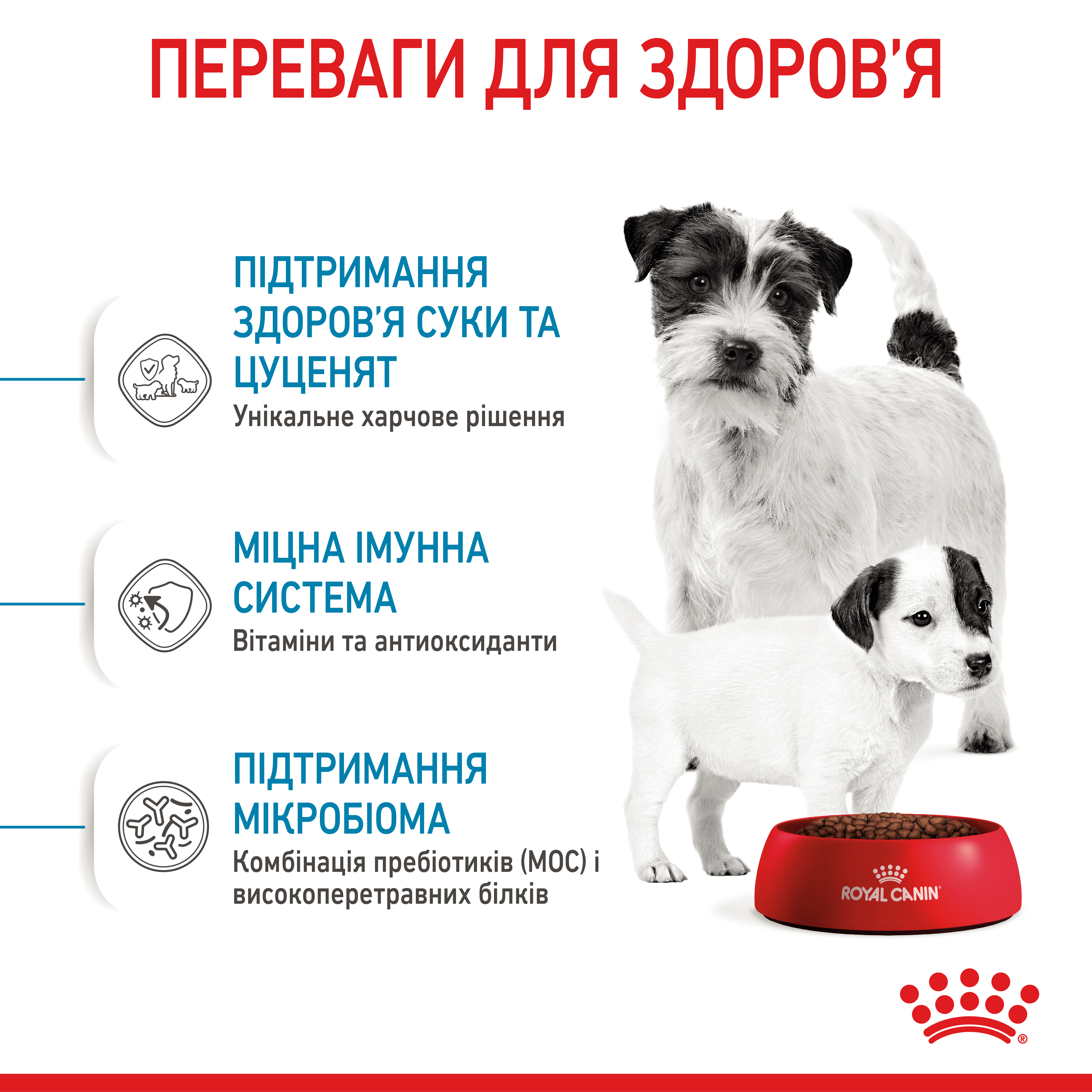 Сухий корм Royal Canin Mini Starter для цуценят дрібних порід стартовий 1кг