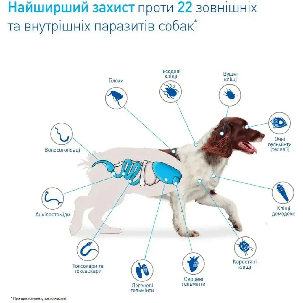 Таблетки Boehringer Ingelheim NexGard Spectra для собак НексГард Спектра проти бліх, кліщів та гельмінтів на вагу 7,5-15 кг, 1 табл