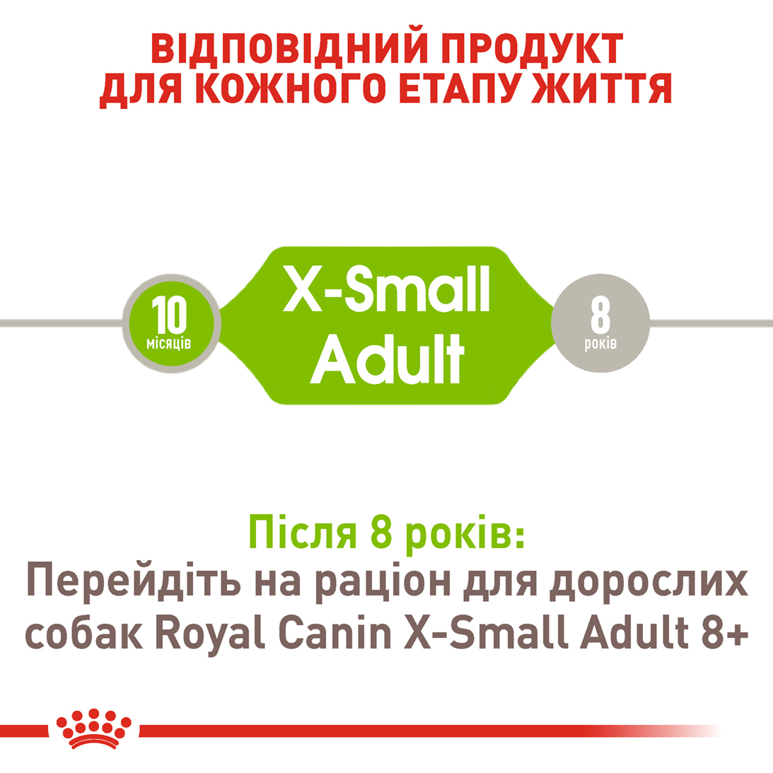 Сухий корм Royal Canin X-Small Adult для собак мініатюрних порід 500г