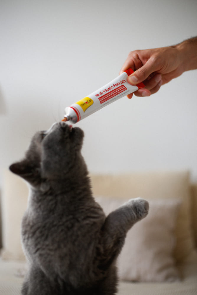 GimCat Multi-Vitamin Paste Extra Мультивітамінна паста для котів 200г