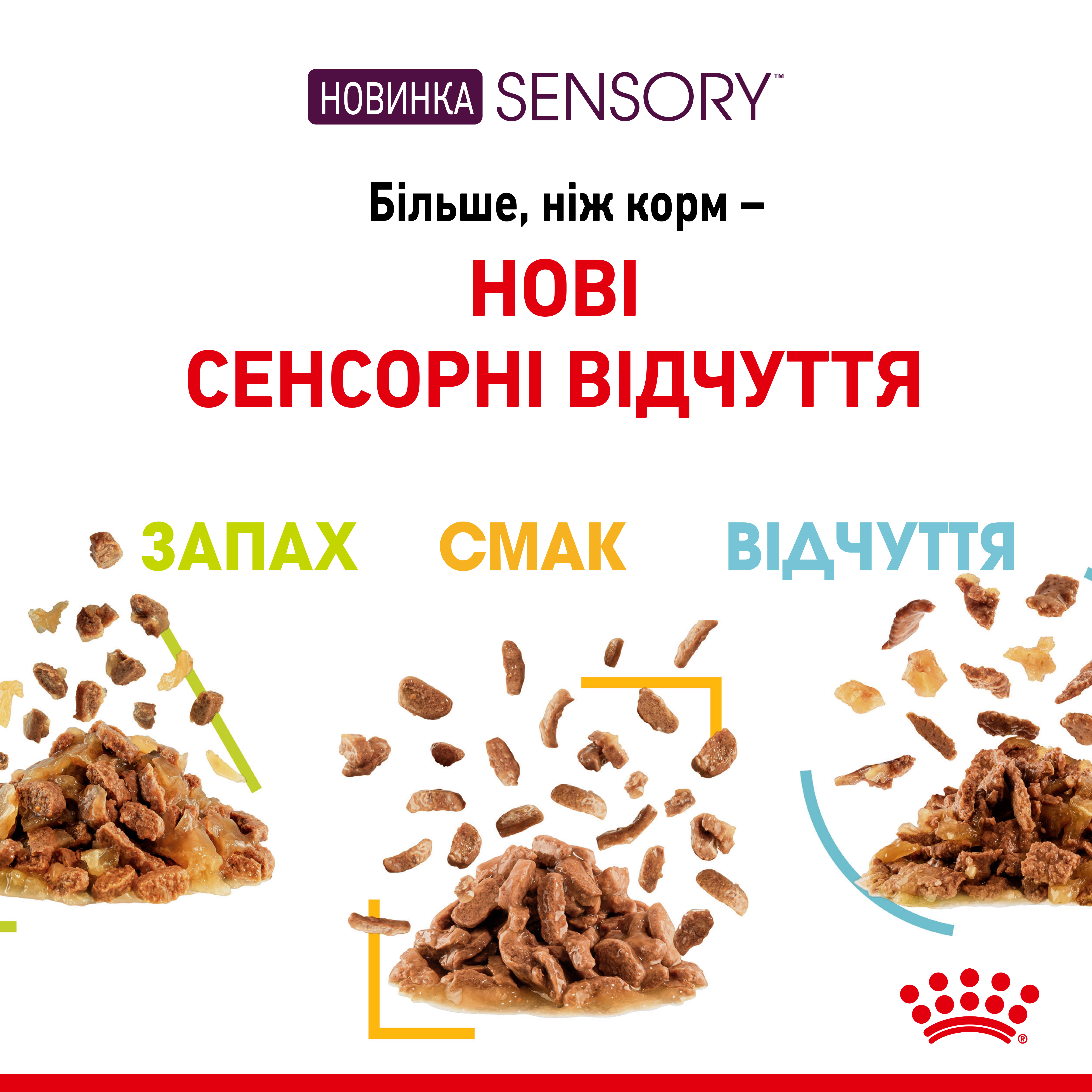 Вологий корм Royal Canin Sensory Smell in Gravy для дорослих котів – стимуляція нюху та підвищення апетиту (шматочки в соусі) 85 г