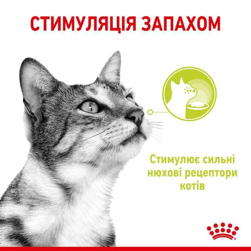 Вологий корм Royal Canin Sensory Smell in Jelly для дорослих котів – стимуляція нюху та підвищення апетиту (шматочки в желе) 85 г