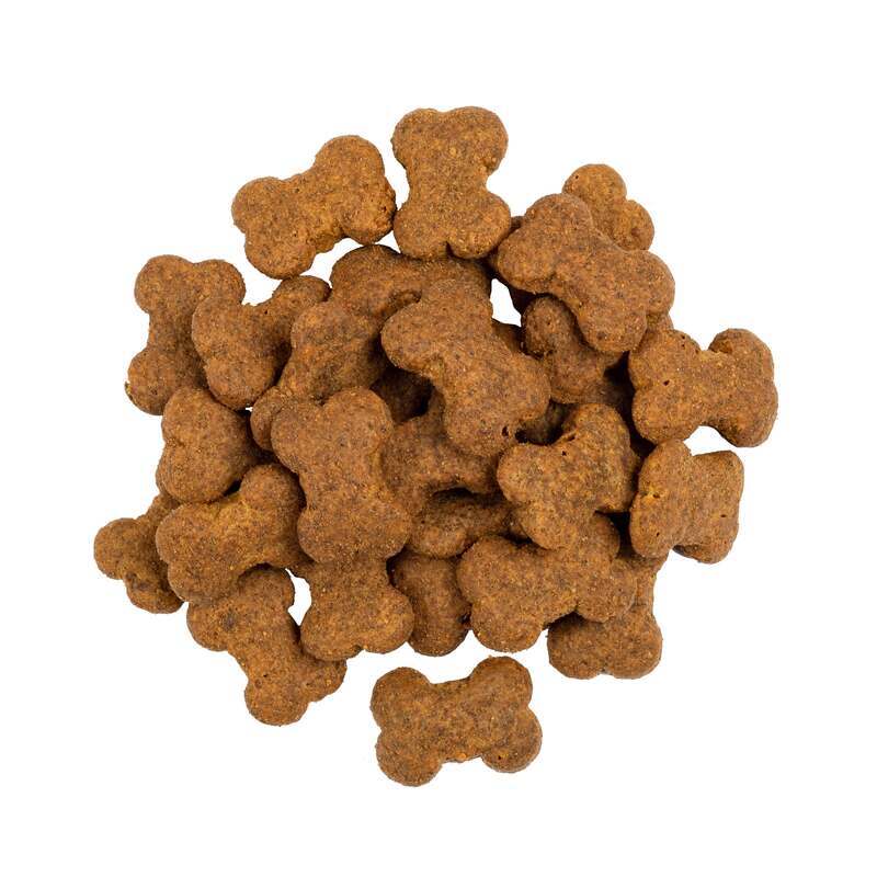 Ласощі для собак Savory Puppy Crunchy Snack з ягням і обліпихою,200г