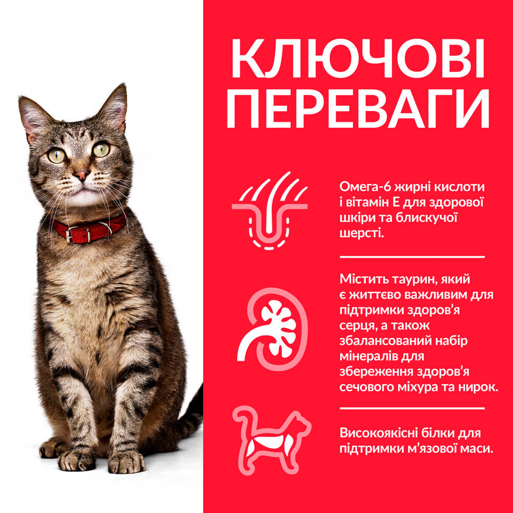 Сухий корм Hill's SP Feline Adult Chicken для дорослих котів з куркою 1,5 кг
