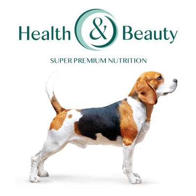Сухий корм OptiMeal Adult Medium Breed для собак середніх порід з індичкою 4кг