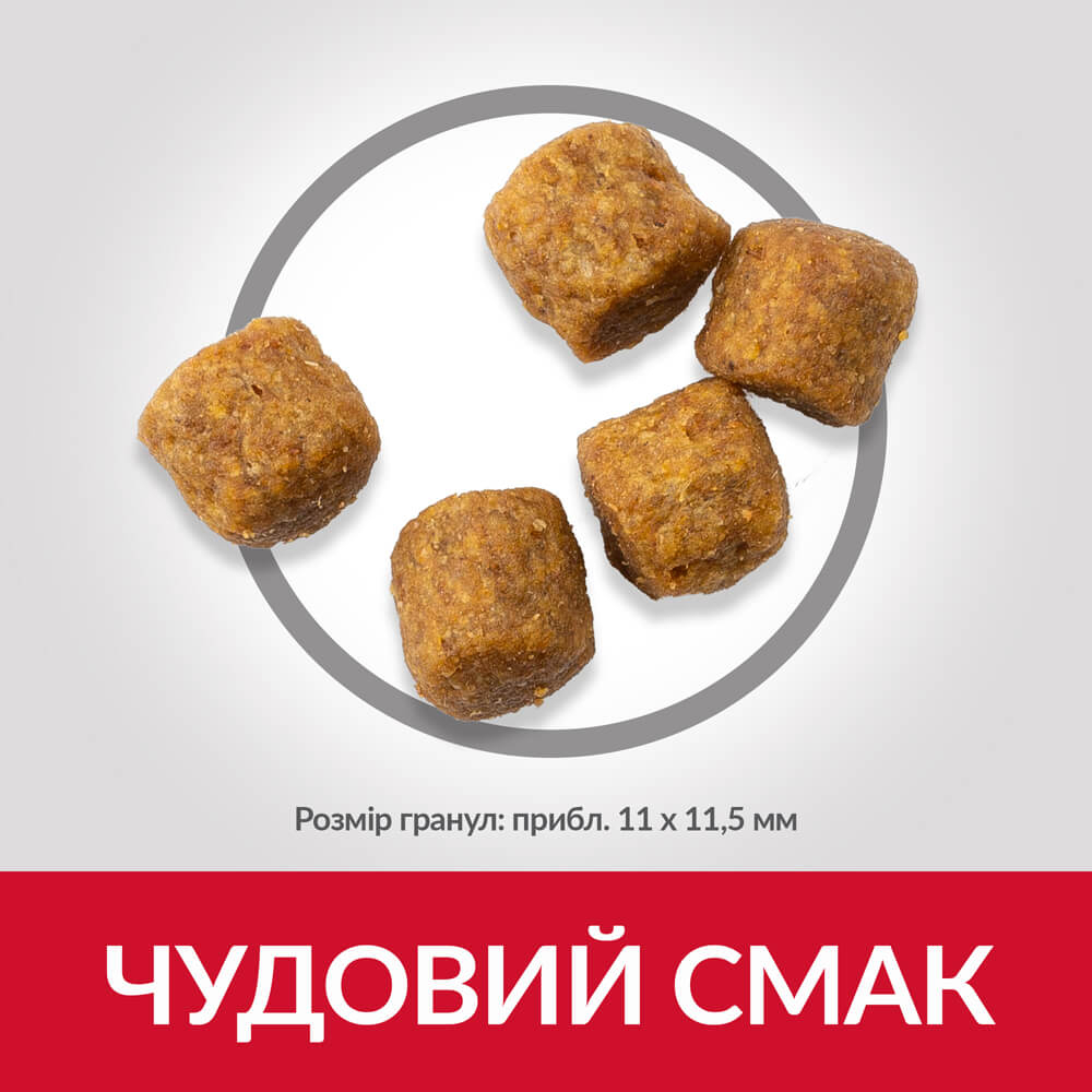 Сухий корм Hill's SP Canine Adult Medium Breed Lamb & Rice для дорослих собак середніх порід з ягням 2.5 кг