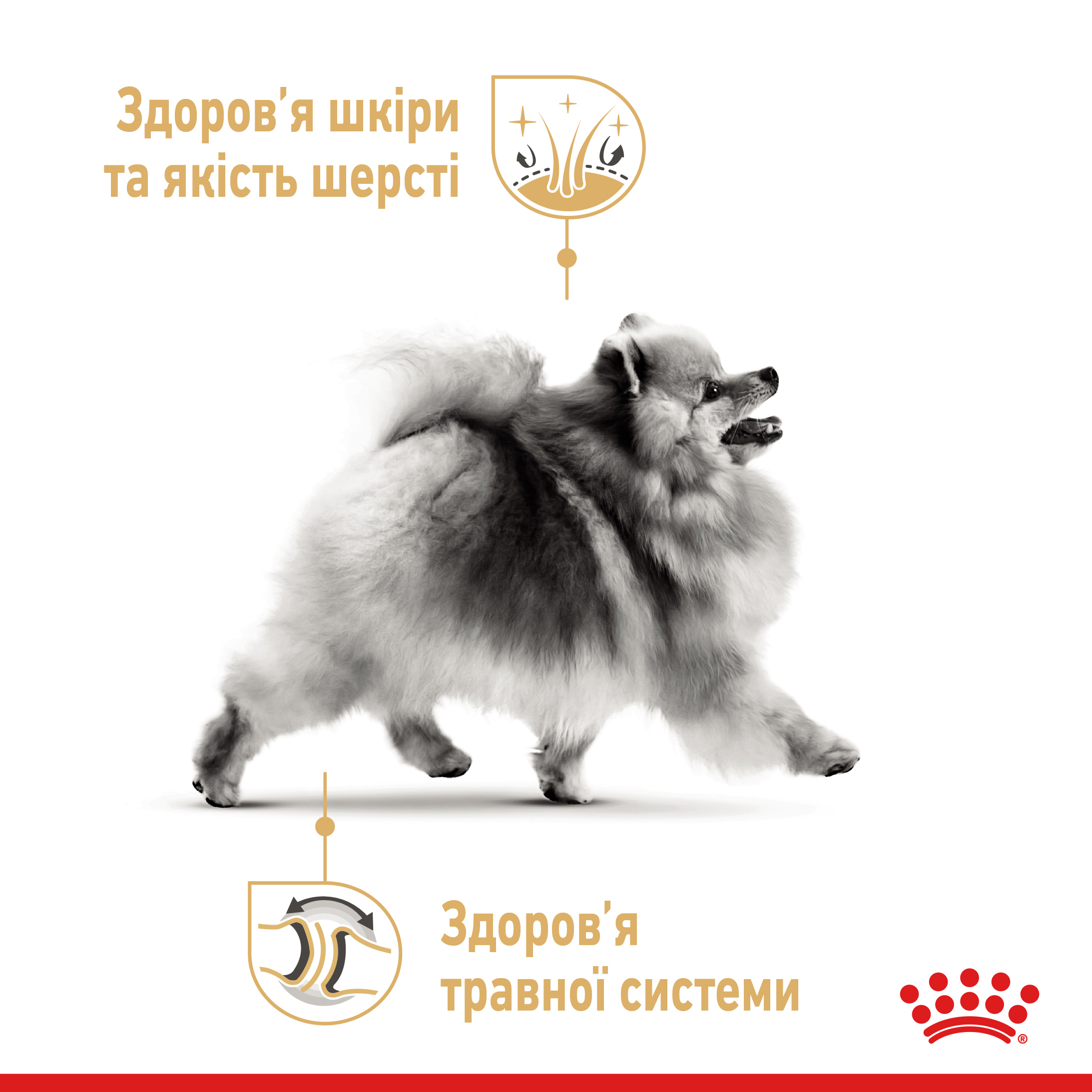 Вологий корм Royal Canin Pomeranian Loaf для собак породи Померанський шпіц (паштет) 85 г