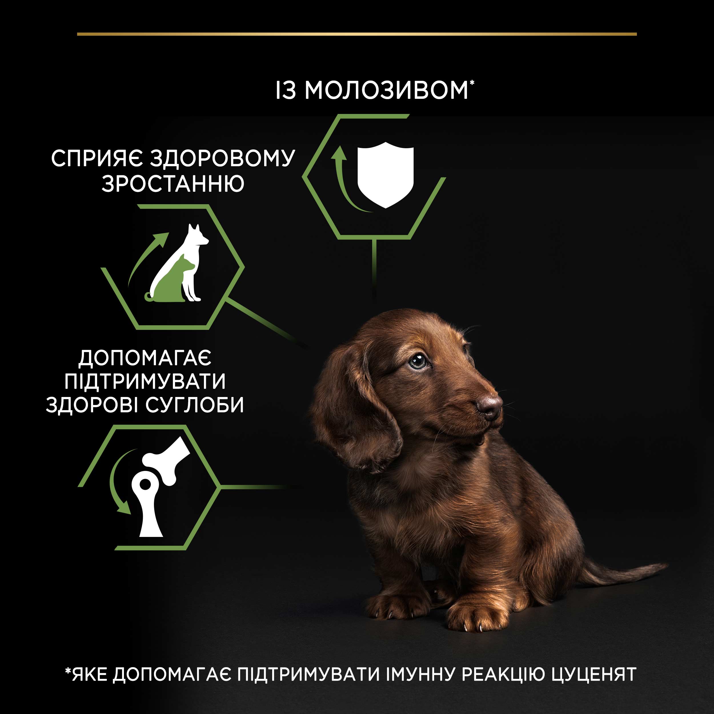 Сухий корм Purina Pro Plan Puppy Small & Mini Healthy Start для цуценят дрібних порід з куркою 700 г