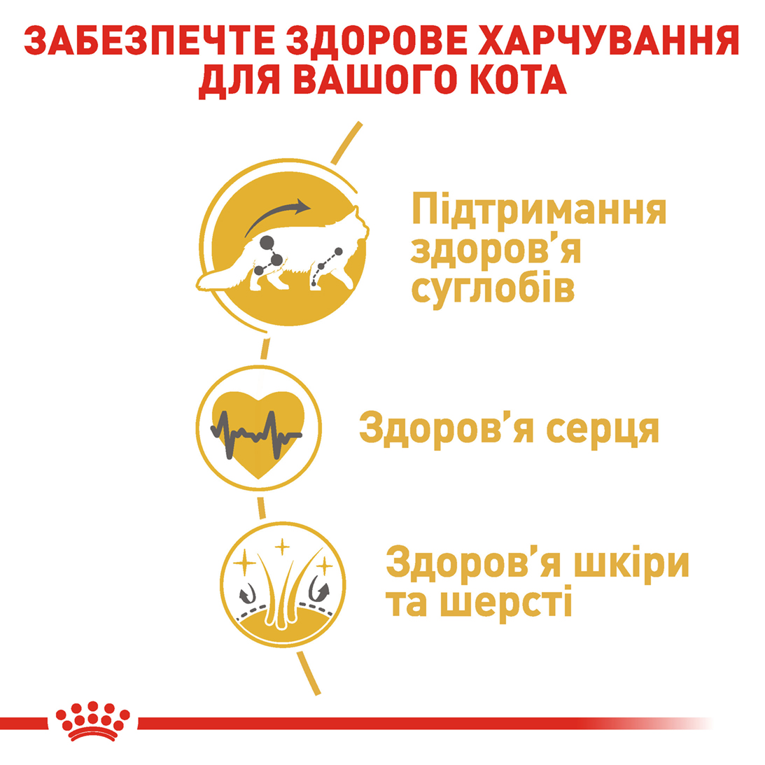 Акція Сухий корм Royal Canin Maine Coon Adult для котів породи Мейн Кун 1.6 кг+400 г