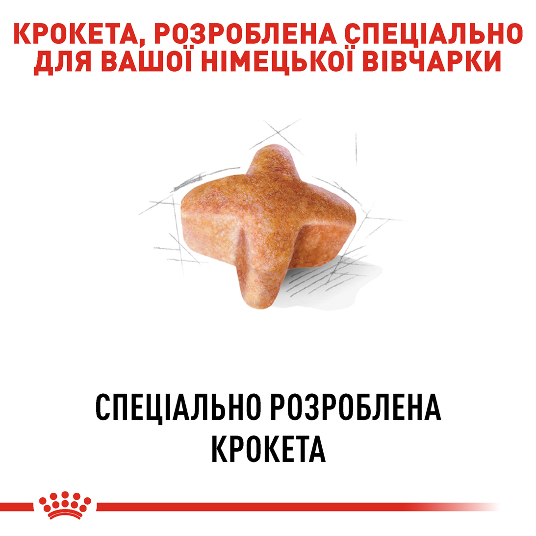 Сухий корм Royal Canin German Shepherd Adult для собак породи Німецька вівчарка 11кг