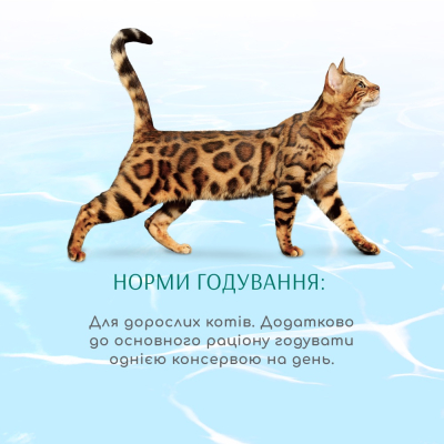 Вологий корм Optimeal Cat Beauty Podium з тунцем та кільцями кальмара 70г
