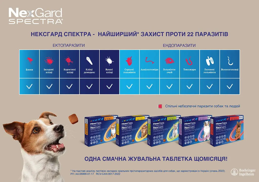 Таблетки Boehringer Ingelheim NexGard Spectra для собак НексГард Спектра проти бліх, кліщів та гельмінтів на вагу 30-60 кг, 1 табл