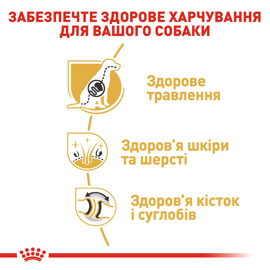 Сухий корм Royal Canin German Shepherd Adult для собак породи Німецька вівчарка 11кг