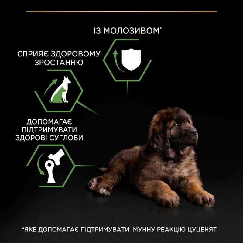Purina Pro Plan Puppy Large Robust Healthy Start для цуценят великих порід з куркою 12 кг