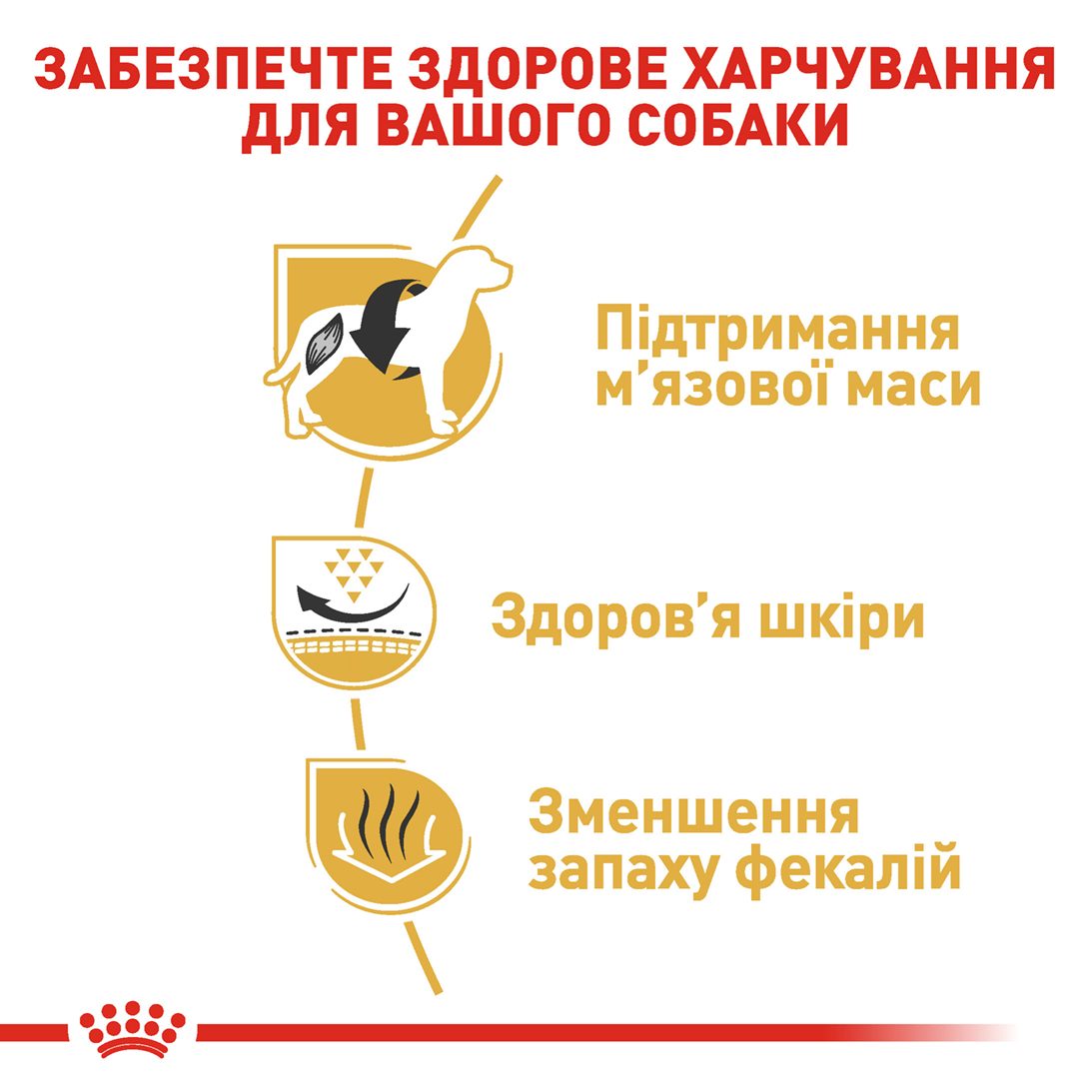 Сухий корм Royal Canin French Bulldog Adult для французських бульдогів 3кг