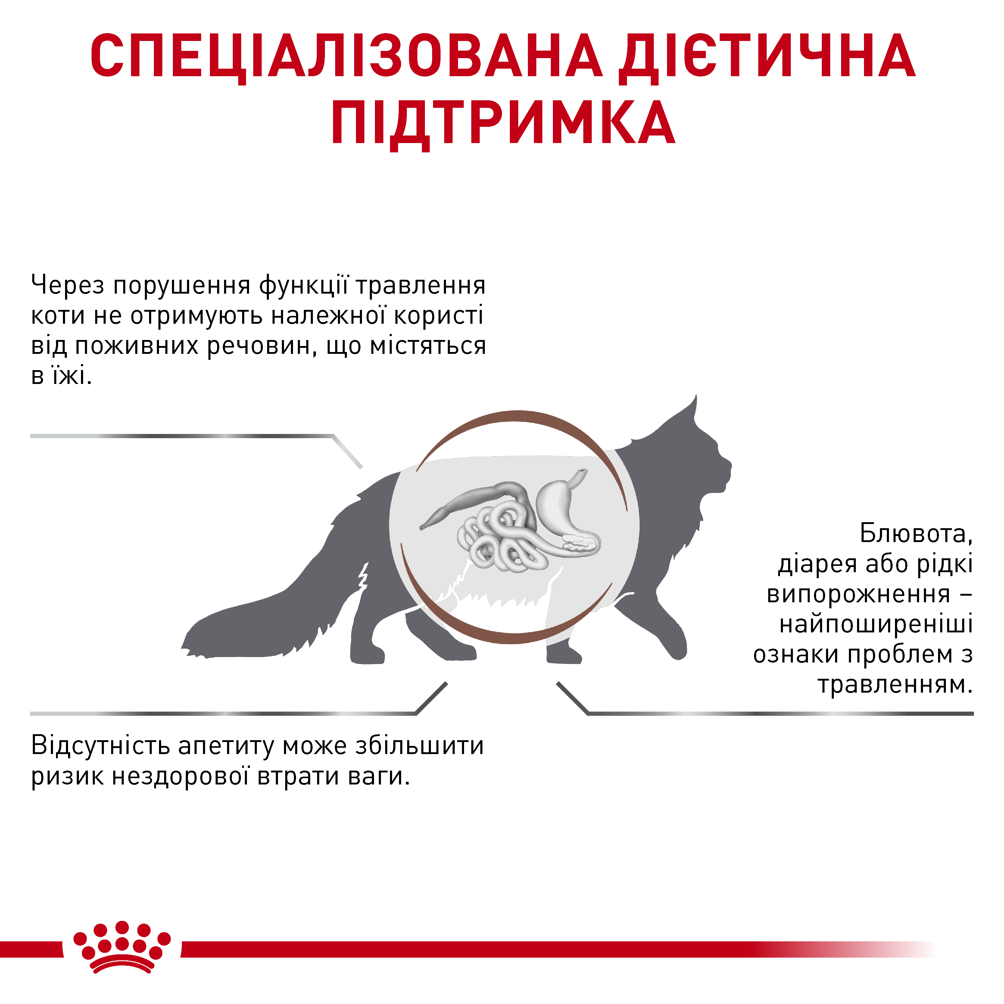 Сухий корм Royal Canin Gastro Intestinal Feline Cat для котів при порушеннях травлення 4кг