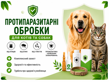 Картинка новости
