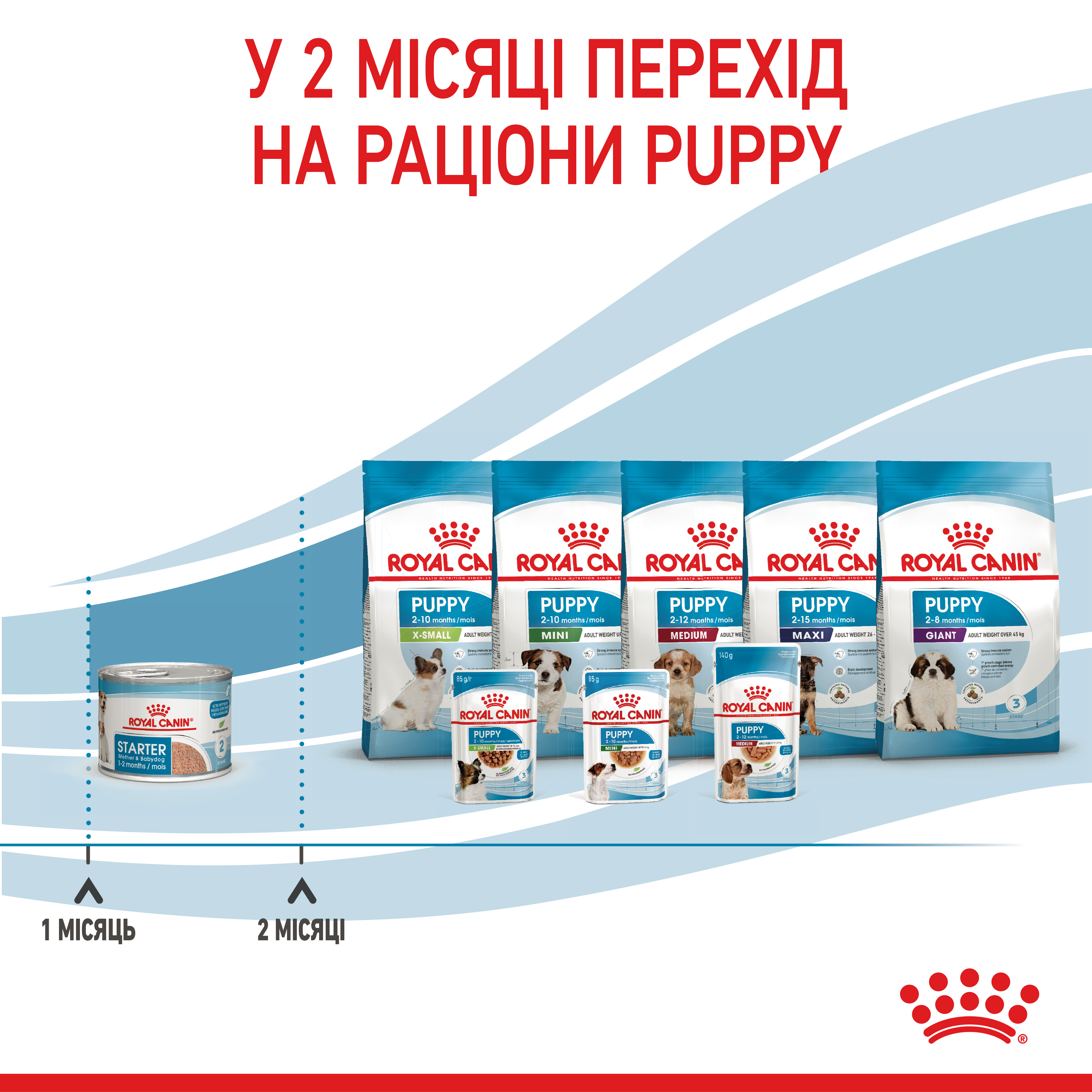 Вологий корм Royal Canin Starter Mousse для цуценят стартовий