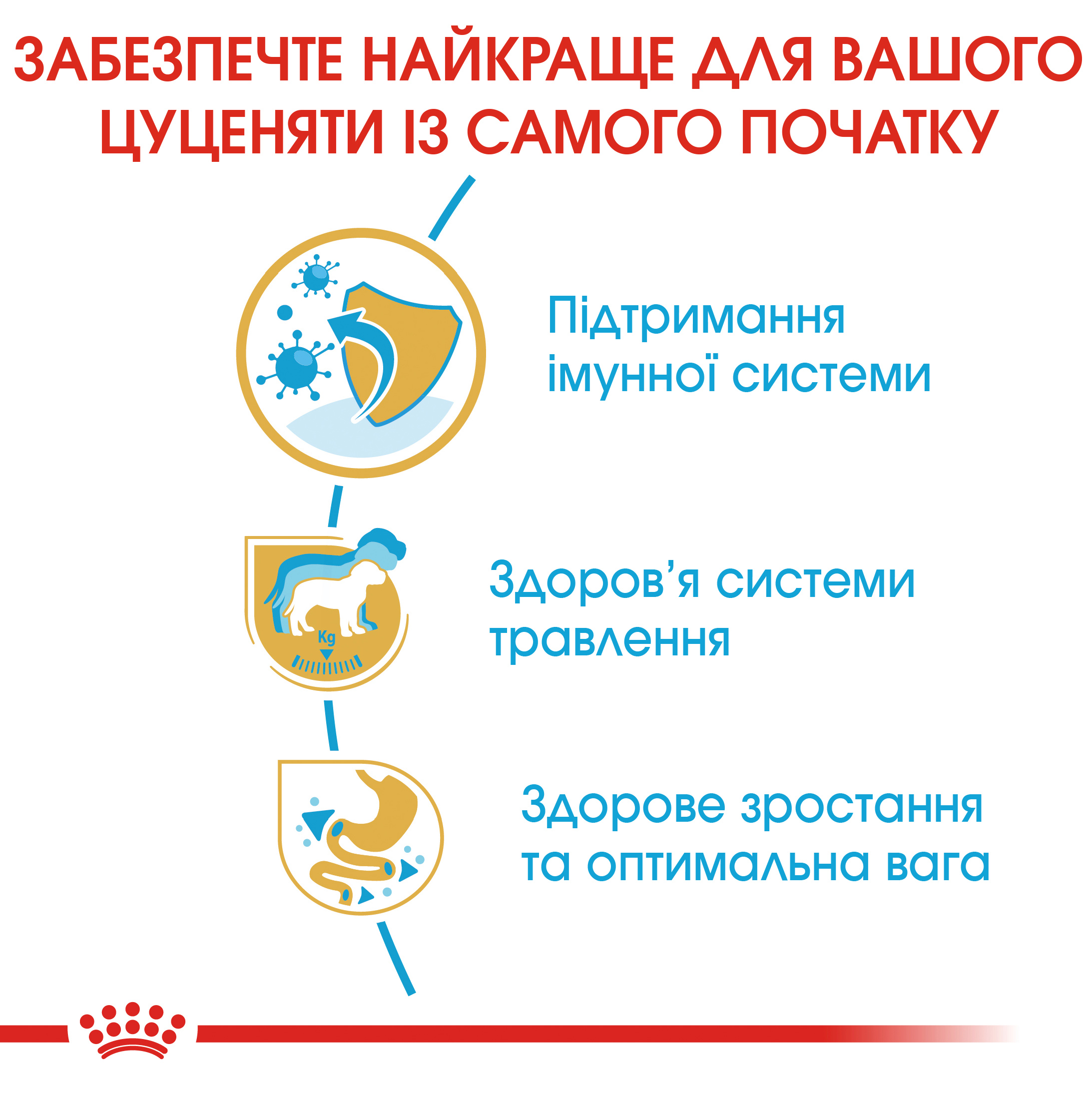 Сухий корм Royal Canin Labrador Retriever Junior для цуценят лабрадорів ретріверів 3кг