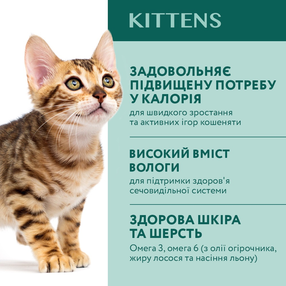Вологий корм OptiMeal Kitten для кошенят з куркою 85г