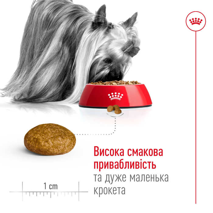 Акція Сухий корм Royal Canin X-Small Adult для собак мініатюрних порід 1.2 кг+300 г