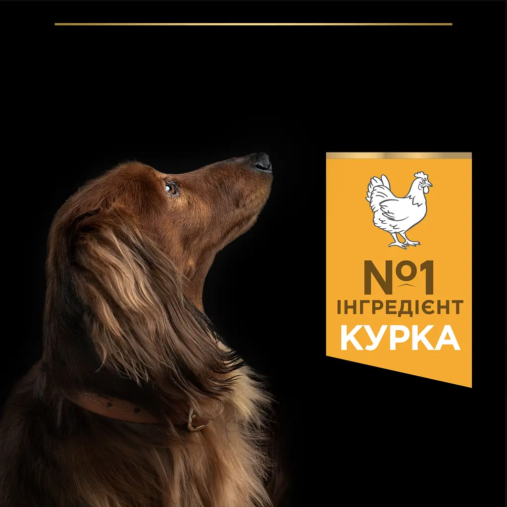 Сухий корм Purina Pro Plan Adult Small & Mini Chicken для собак дрібних порід 700 г