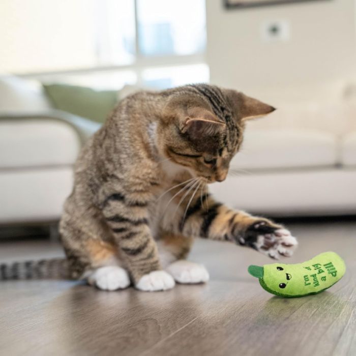 Catstages Crunchy Pickle Kicker Іграшка для котів Хрусткий кікер з котячою м'ятою