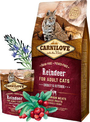 Сухий корм CarniLove Reindeer Energy&Outdoor з північним оленем для активних котів 2кг