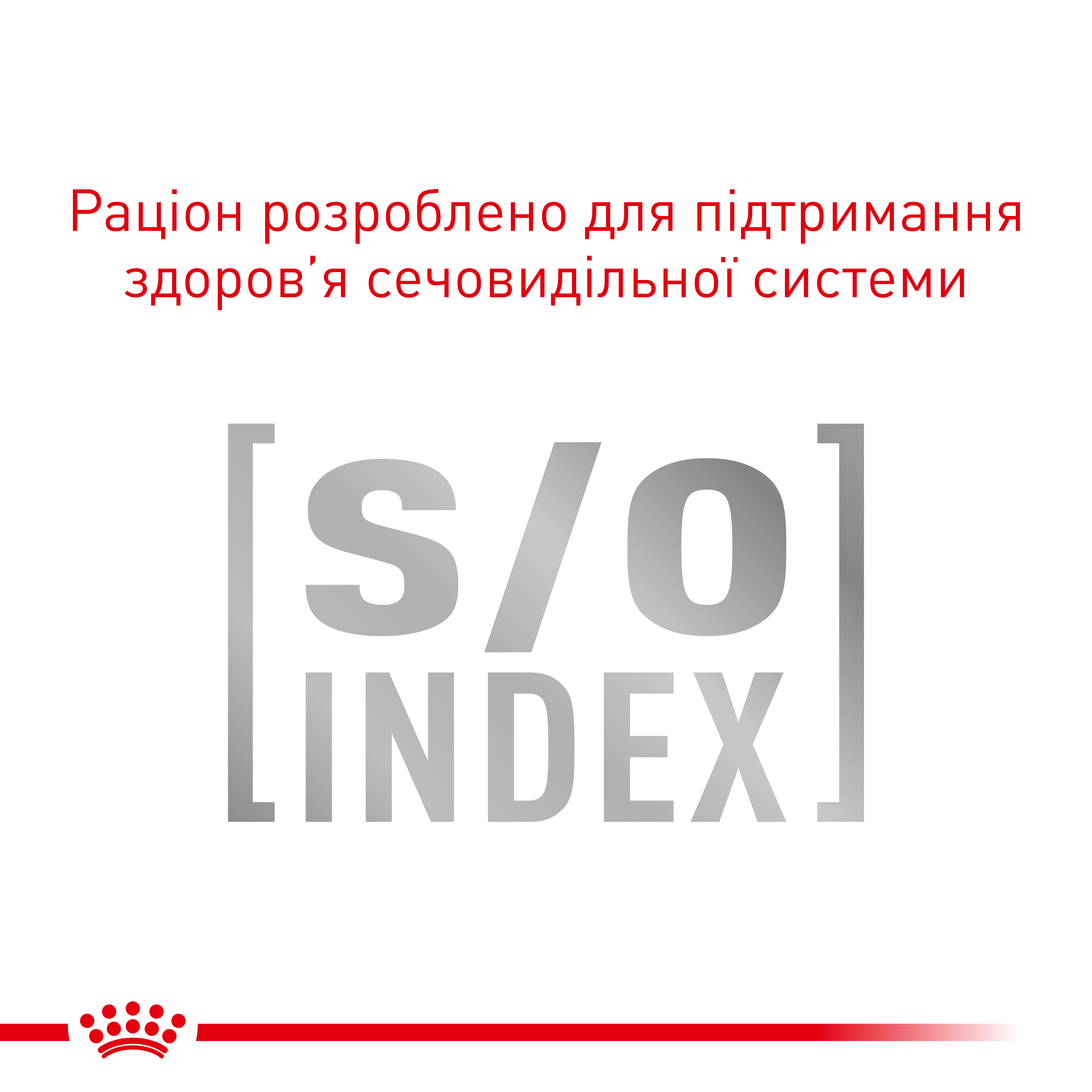 Вологий корм Royal Canin Diabetic Canin для собак при лікуванні цукрового діабету 410г