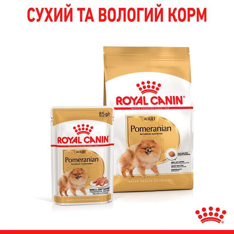 Сухий корм Royal Canin Pomeranian Adult для дорослих собак породи Померанський шпіц 500 г