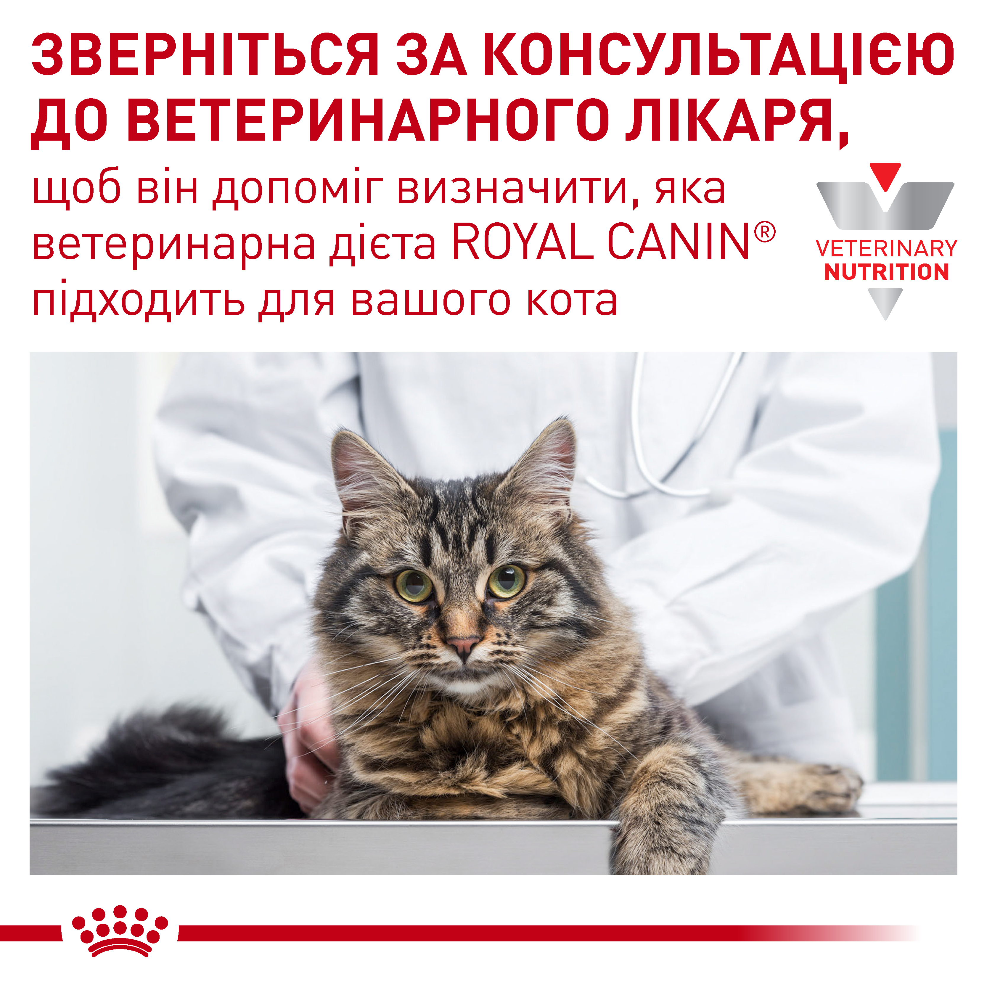 Вологий корм Royal Canin Urinary S/O Moderate Calorie для котів при лікуванні сечокам'яної хвороби