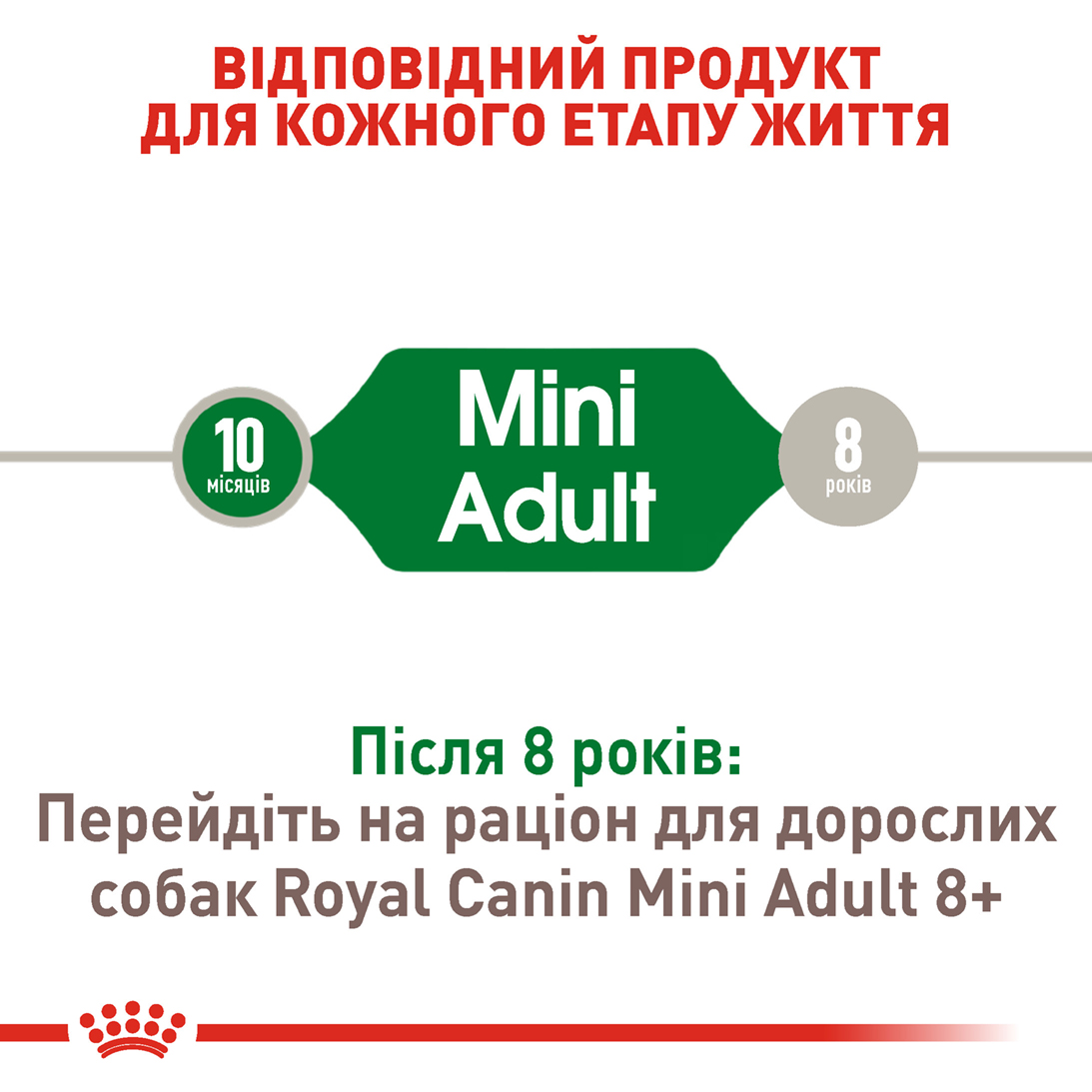 Сухий корм Royal Canin Mini Adult для собак міні порід 800г