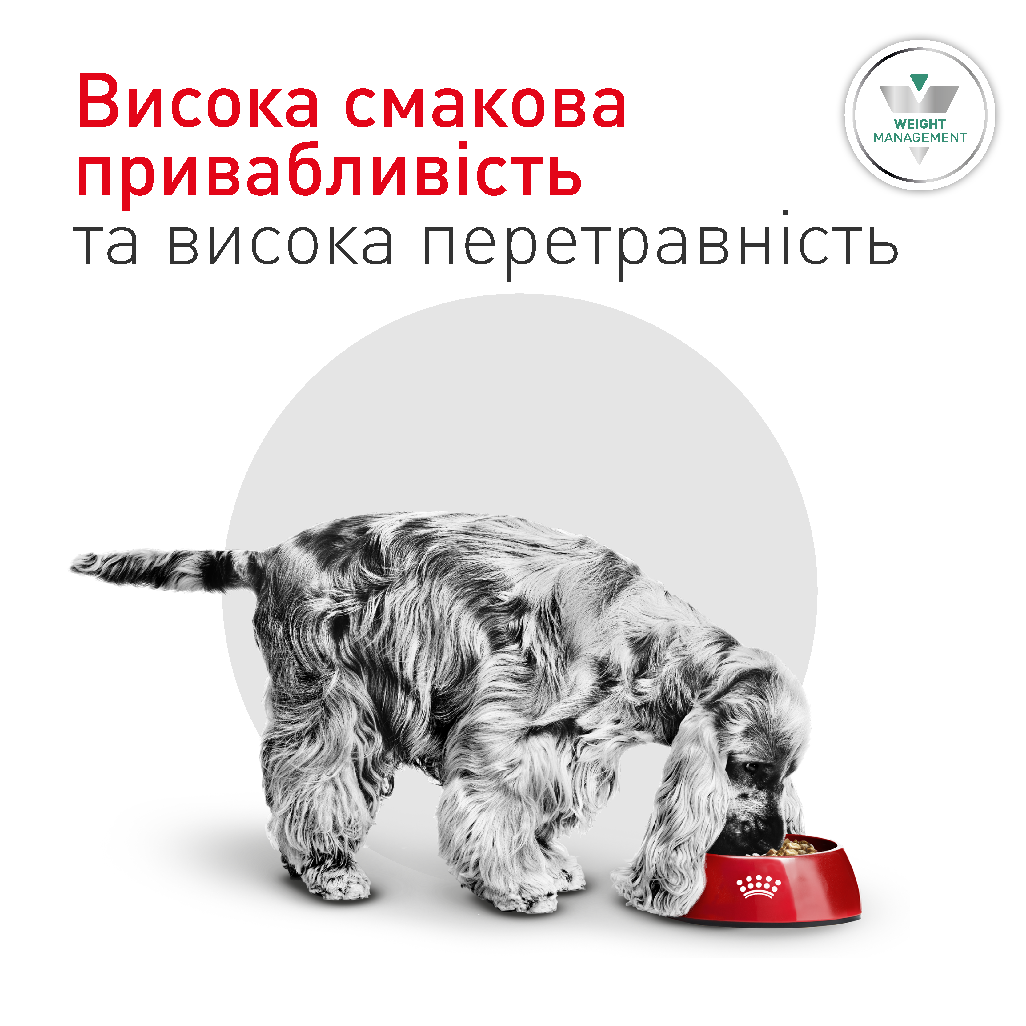 Сухий корм Royal Canin Glycobalance Small Dog для собак малих порід при цукровому діабеті 1,5 кг