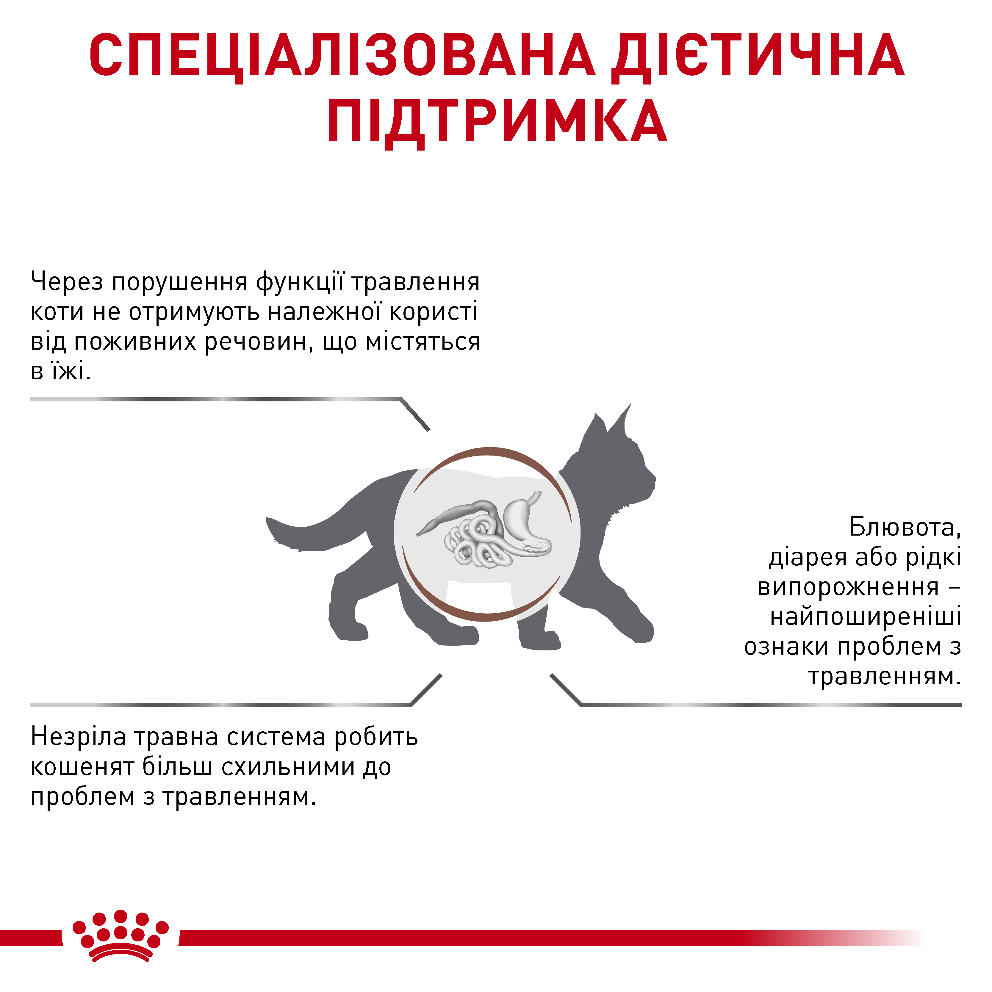 Сухий корм Royal Canin Gastrointestinal Kitten для кошенят при порушеннях травлення 400г