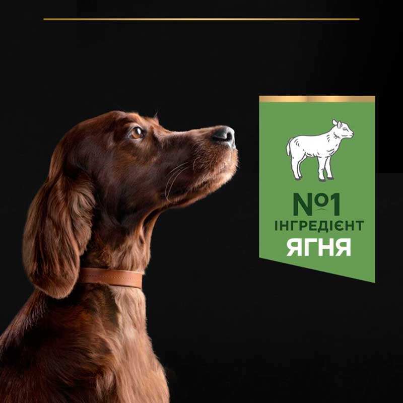 Сухий корм Purina Pro Plan Dog Adult Large Athletic Sensitive Digestion Lamb для собак великих порід атлетичної статури з чутливим травленням,з ягням 14 кг