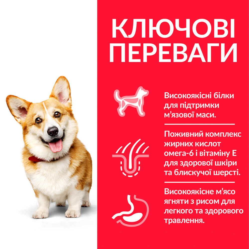 Сухий корм Hill's SP Canine Adult Small & Mini Lamb & Rice з ягням та рисом для дорослих собак малих та мініатюрних порід 1,5 кг