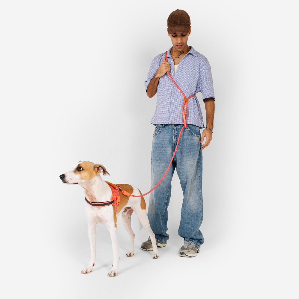 Zee.Dog Hands-Free Leash Gazelle Повідець для собак Вільні руки, регульований 120–240 см