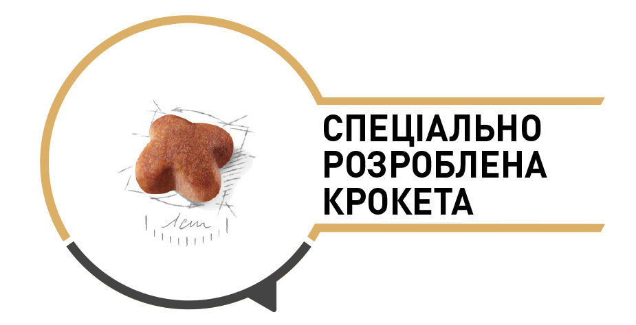 Сухий корм Royal Canin Jack Russel Terrier Adult для собак породи Джек-рассел-тер'єр 1,5кг