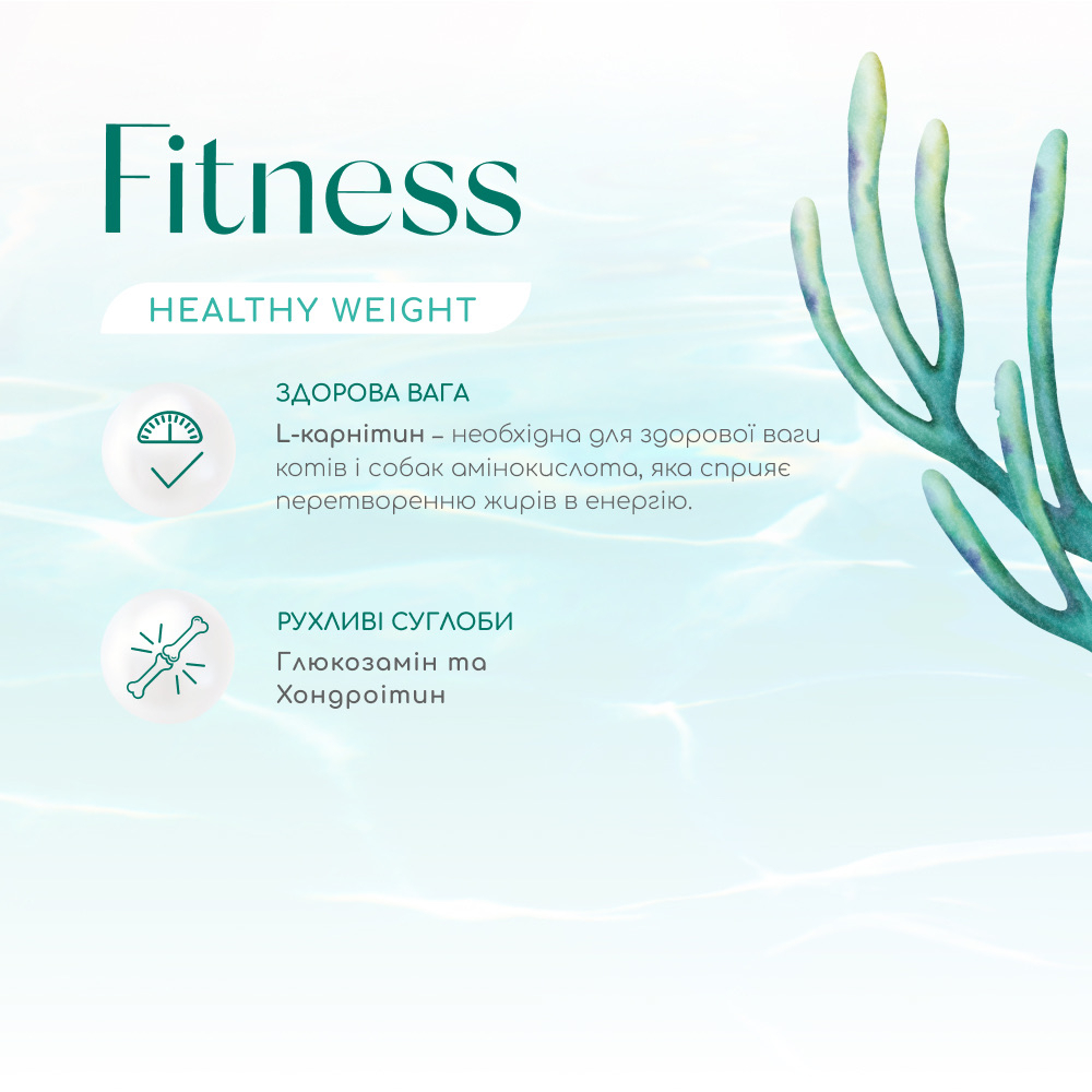 Сухий корм OptiMeal Dog Beauty Fitness для собак 4кг