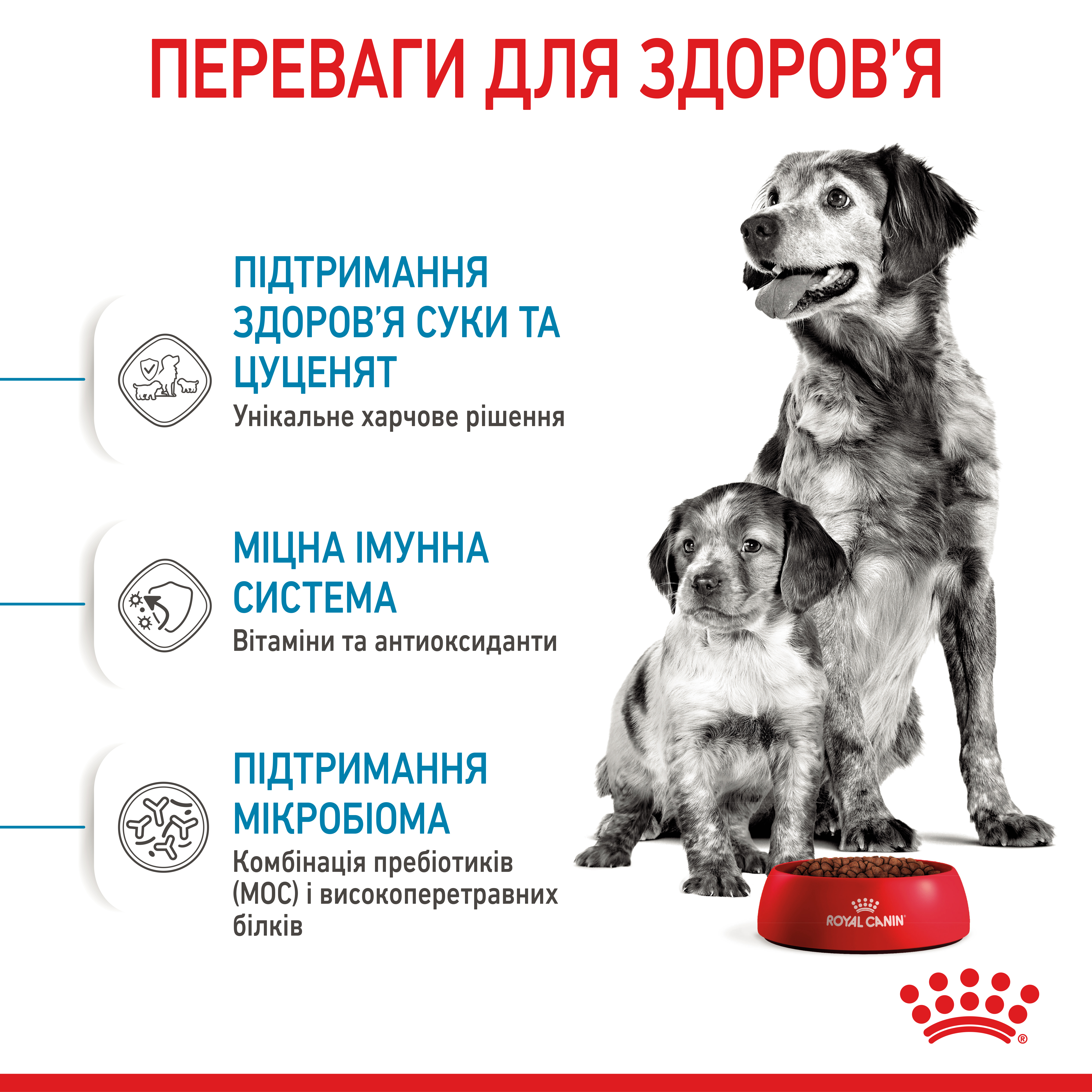 Сухий корм Royal Canin Medium Starter для цуценят середніх порід 1кг