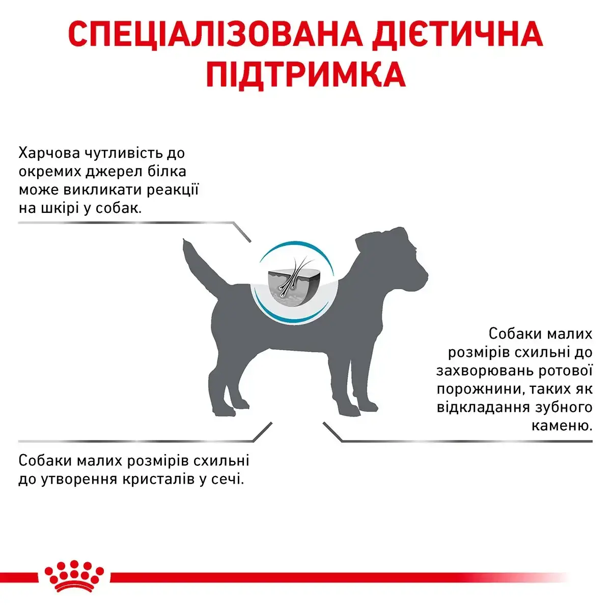 Сухий корм Royal Canin Hypoallergenic Small Dog для собак малих порід при харчових алергіях 1кг