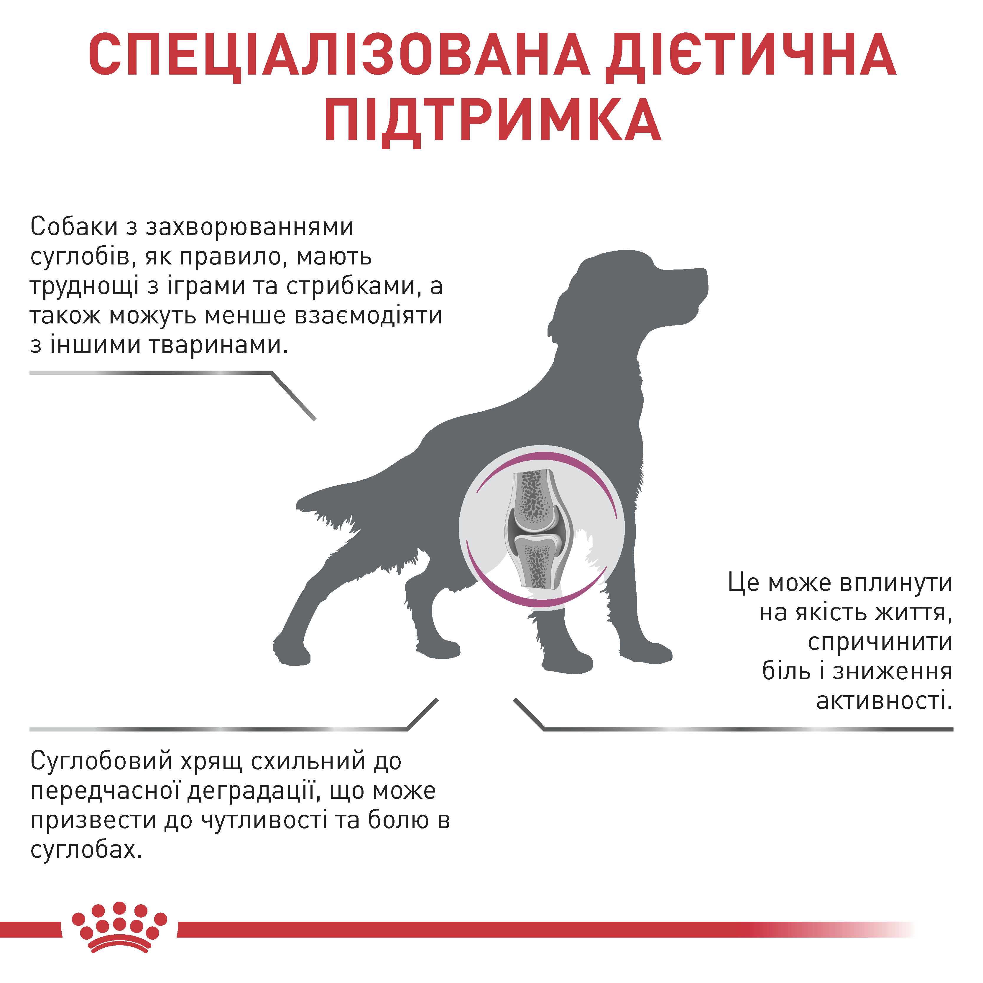 Сухий корм Royal Canin Mobility Support для собак при захворюваннях опорно-рухового апарату 2кг