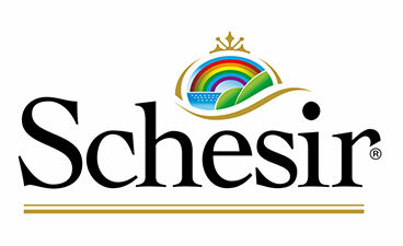Schesir