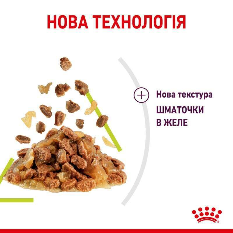 Вологий корм Royal Canin Sensory Smell in Jelly для дорослих котів – стимуляція нюху та підвищення апетиту (шматочки в желе) 85 г