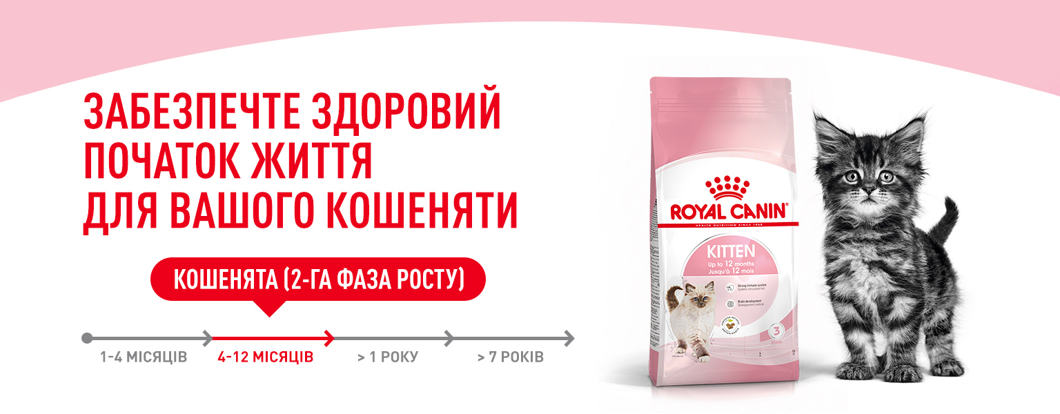 Сухий корм Royal Canin Kitten для кошенят віком від 4 до 12 місяців 4кг