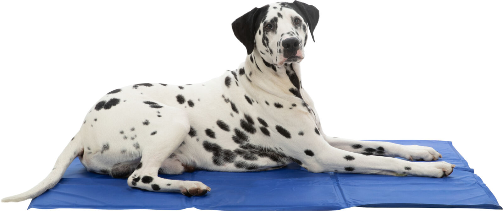 Trixie Cooling Mat Підстилка охолоджувальна для собак та котів синя 110 х 70 см