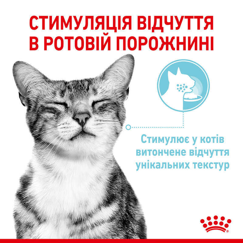 Вологий корм Royal Canin Sensory Feel in Gravy для котів у соусі-сенсорна формула з апетитною текстурою для вибагливих улюбленців 85 г